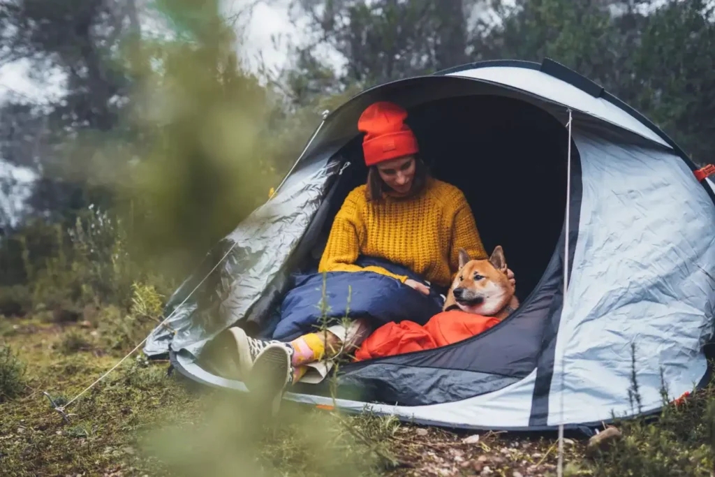 Camping with a dog