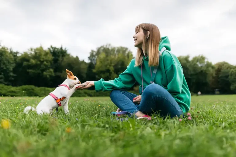 Best Dogs for Kids