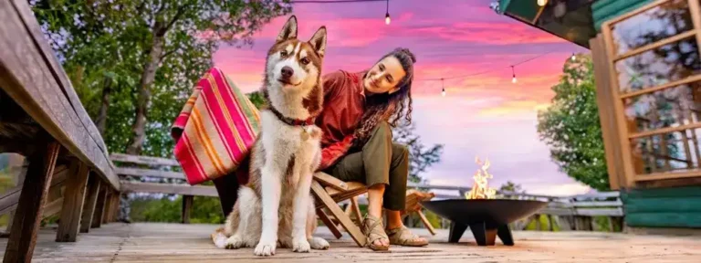 How to Prepare Your Dog