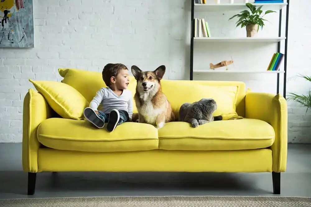 Dog Breeds for Kids