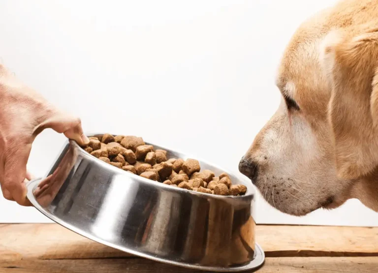 Food is not Suitable