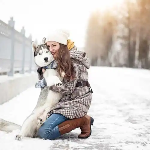 How to Walk a Dog in Winter