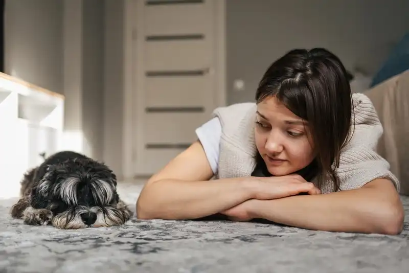 Stop A Dog From Barking